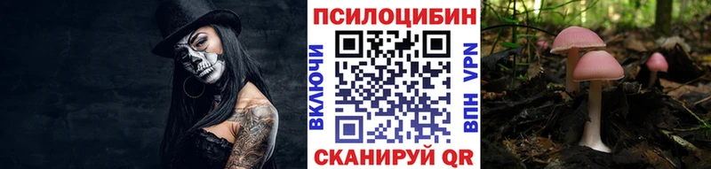 blacksprut ссылка  Морозовск  Псилоцибиновые грибы Psilocybine cubensis  что такое наркотик 